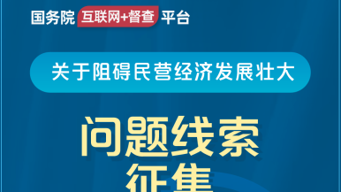 插阴道网址国务院“互联网+督查”平台公开征集阻碍民营经济发展壮大问题线索